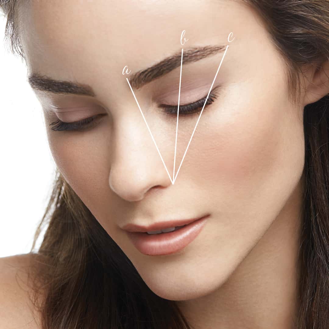 Eyebrows Thread Shape Eyebrow Threading Shapes Chart